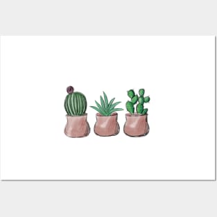 Potted Succulents Posters and Art